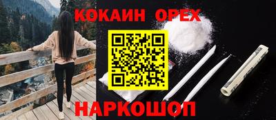 твердый Гатчина