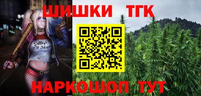 герыч Гагарин