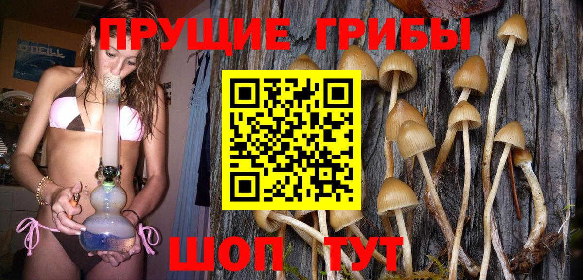 Галлюциногенные грибы Cubensis  Вход с VPN  Михайловка  Псилоцибиновые грибы Psilocybe 
